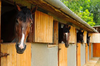 free Abbeydale stable construction quotes