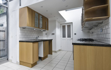 Abbeydale kitchen extension leads